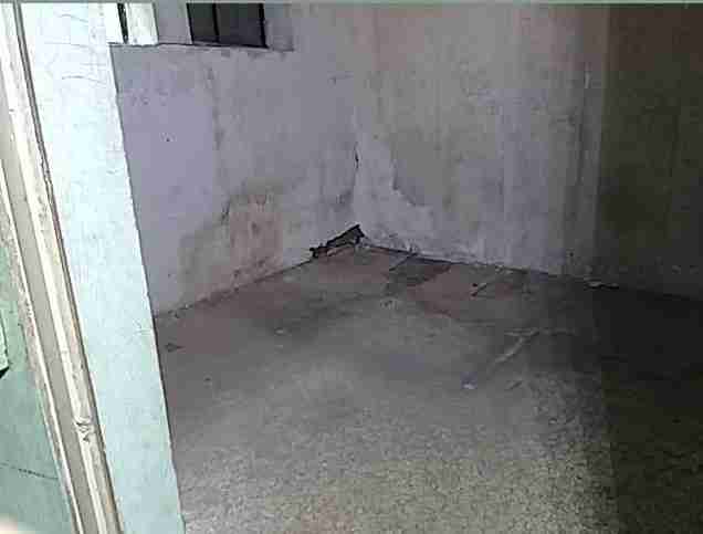 Testing again(22).jpg